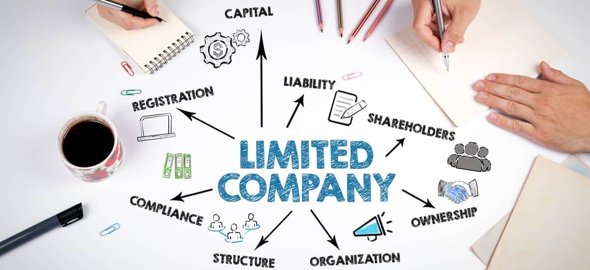 Polish Sp. z o.o. company structure